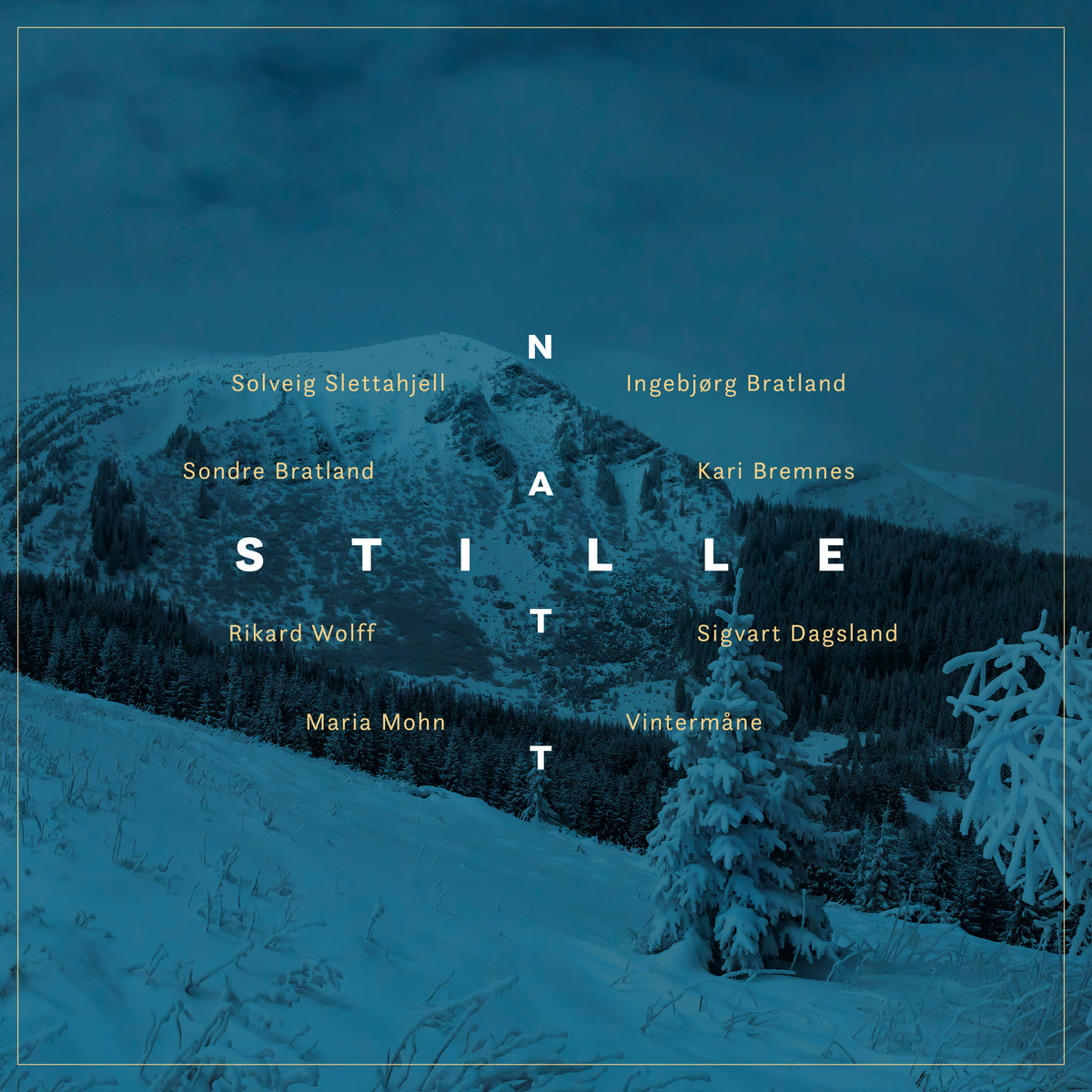 Diverse artister - Stille natt (VINYL)