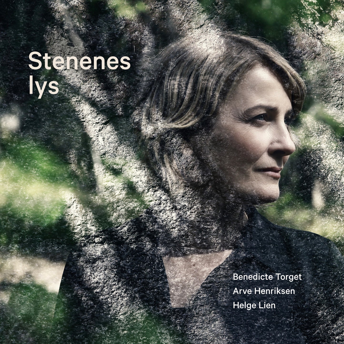 Benedicte Torget - Stenenes lys