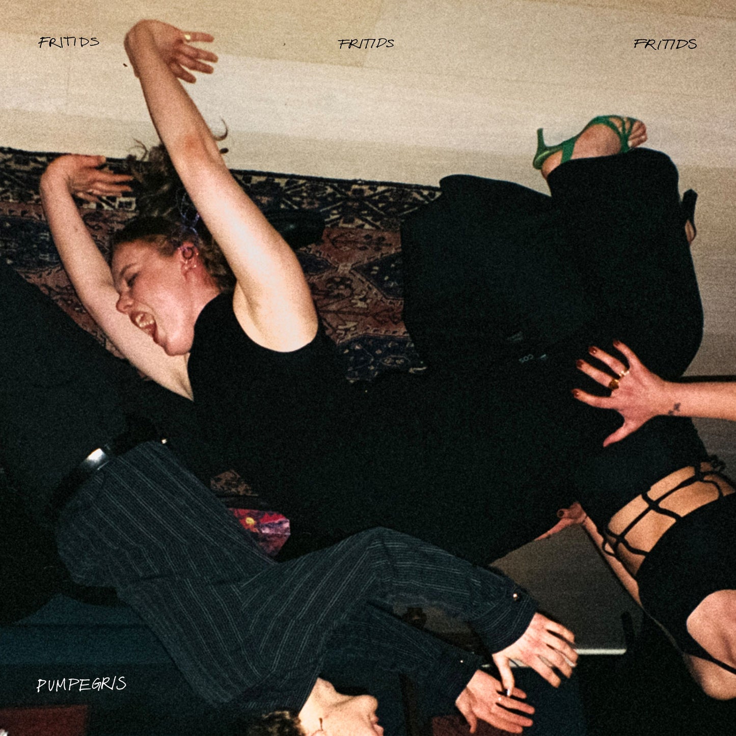 Pumpegris - Fritids (VINYL)