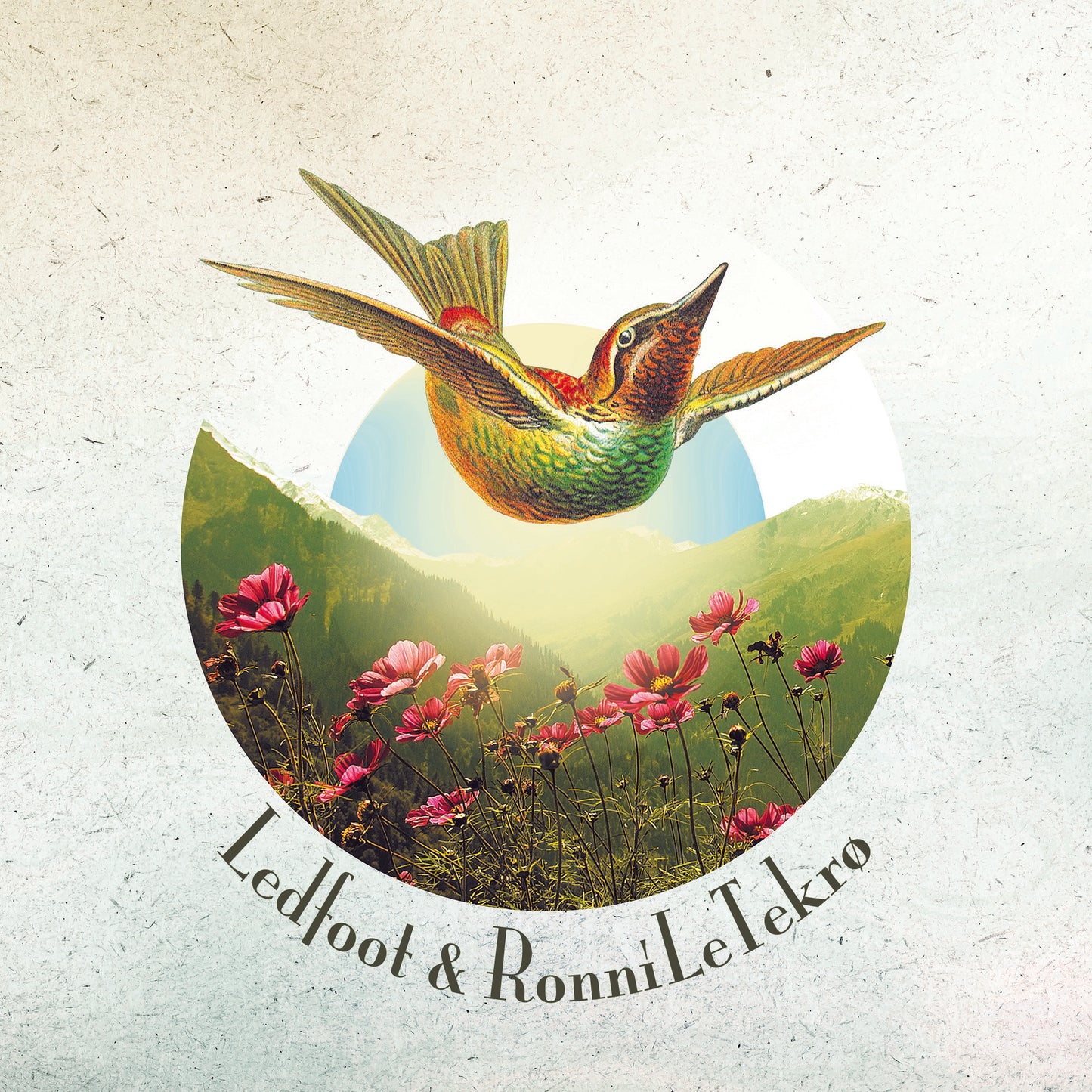 Ledfoot & Ronni Le Tekrø - A Death Divine