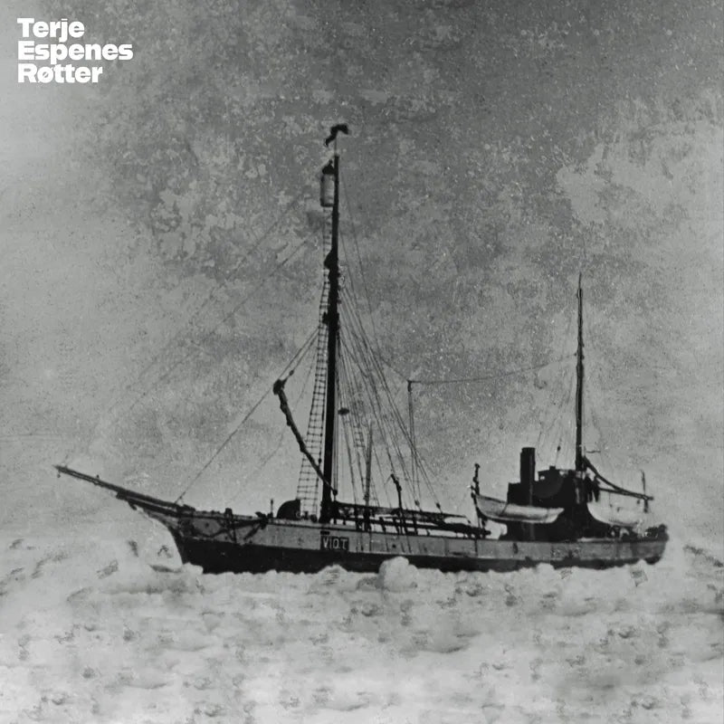 Terje Espenes - Røtter (VINYL)