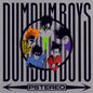 Dumdum Boys - Pstereo (VINYL)