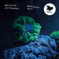 Building Instrument - Mangelen Min (VINYL)
