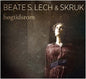 Beate S. Lech & SKRUK - Høgtidsrom