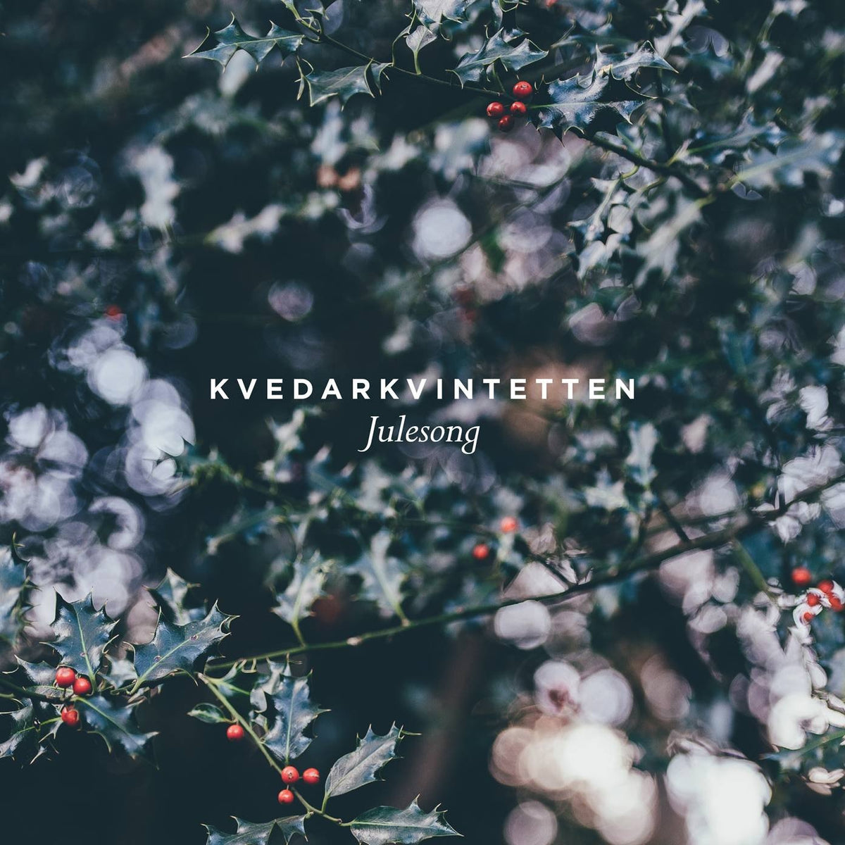 Kvedarkvintetten - Julesong