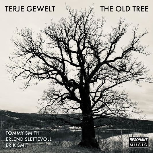 Terje Gewelt - The Old Tree