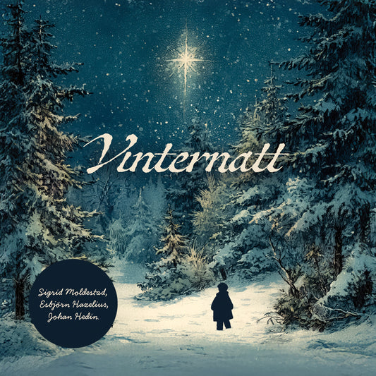 Sigrid Moldestad, Esbjörn Hazelius & Johan Hedin - Vinternatt