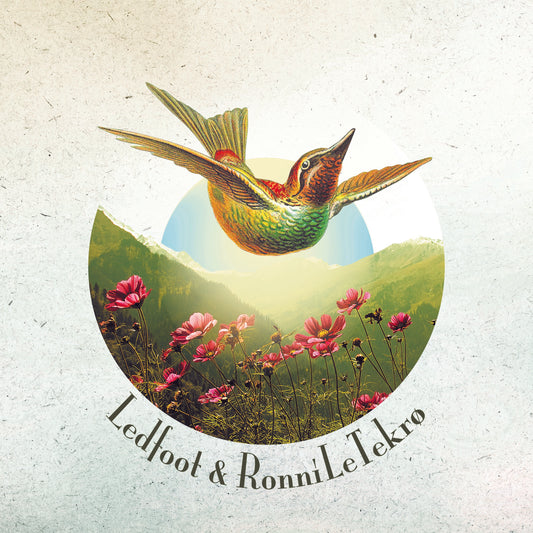 Ledfoot & Ronni Le Tekrø - A Death Divine